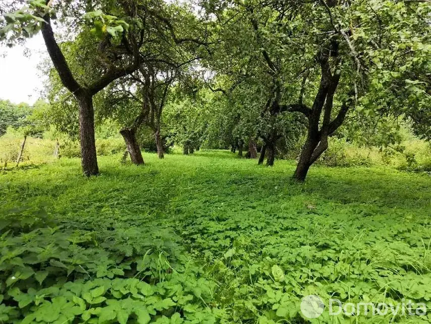 Купить земельный участок, 60 соток, Должа, Витебская область, 25000USD, код 570473 - фото 25