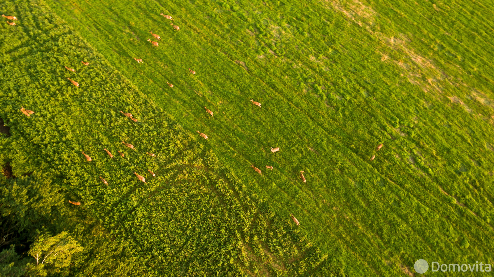 коттедж, Великое Село, ул. Фермерская, д. 3 