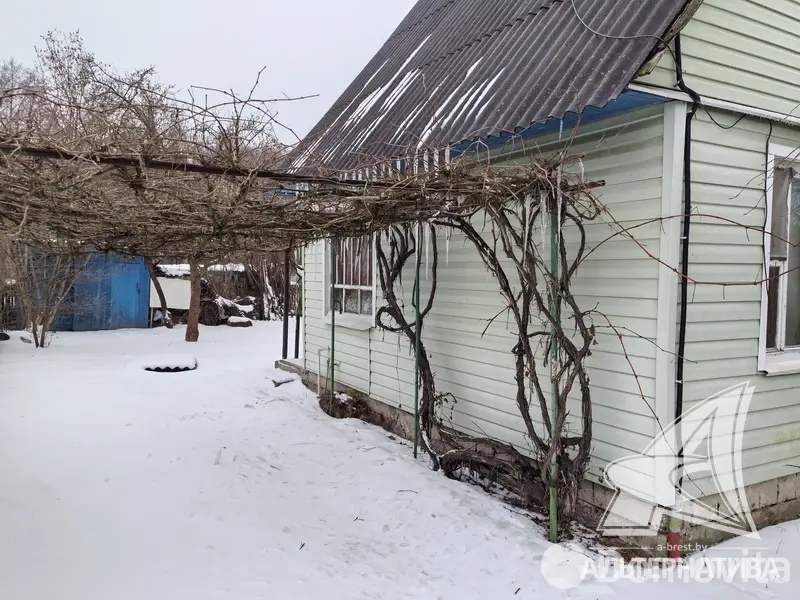 дача, Росинка при Брестском ДЭУ-138, 