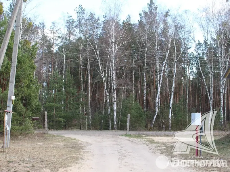 Купить 1-этажную дачу в Купалинка-90 Брестская область, 82000USD, код 182011 - фото 27