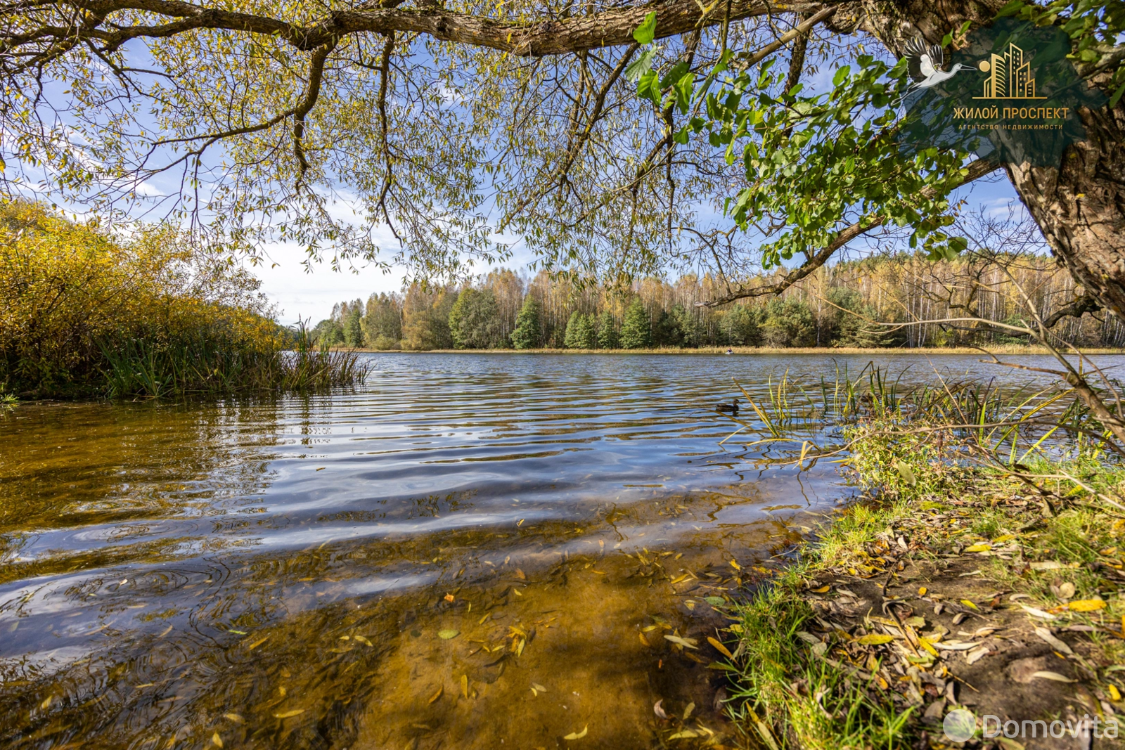 Продажа 2-этажной дачи в Вяча Минская область, 31500USD, код 184327 - фото 15