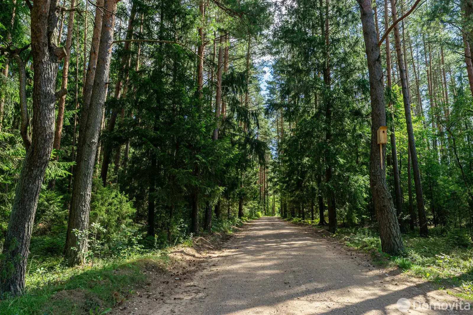 Цена продажи участка, Новая Усса, 