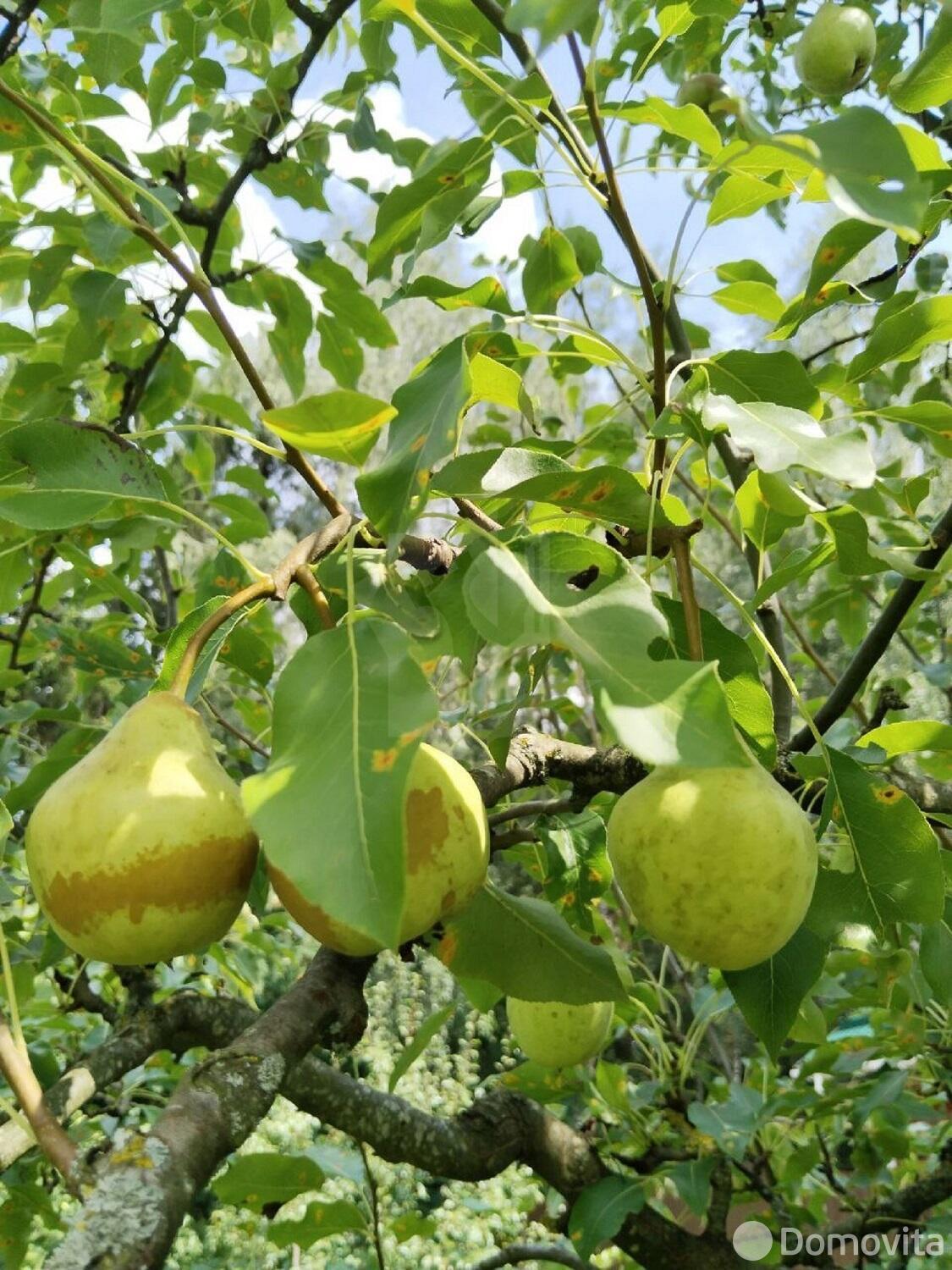 Цена продажи участка, АЛЕСЯ, 