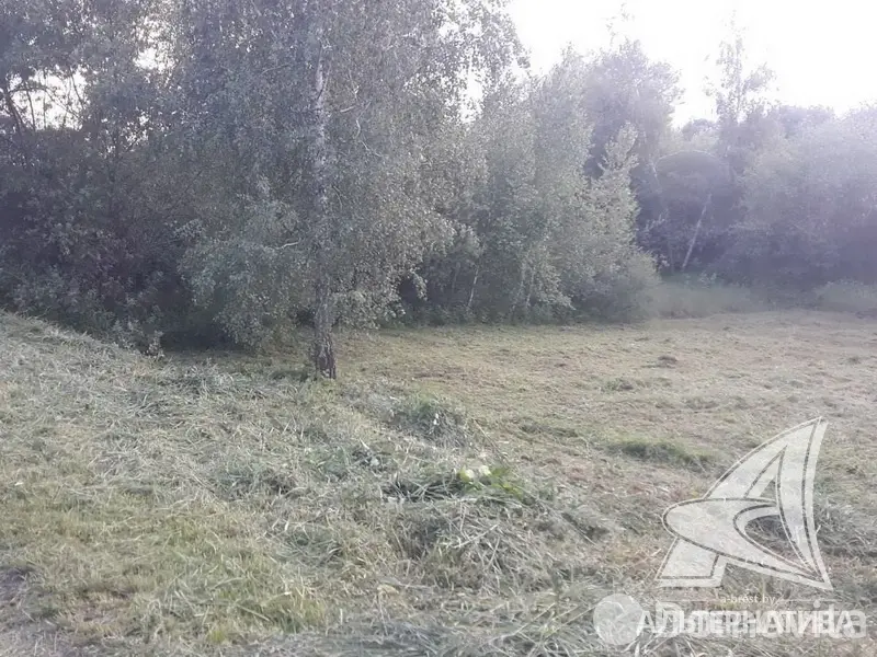 участок, Ранет-94,