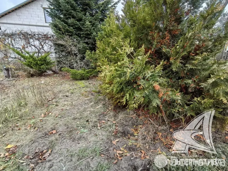 Продажа 1-этажной дачи в Машиностроитель Брестская область, 42000USD, код 184448 - фото 13