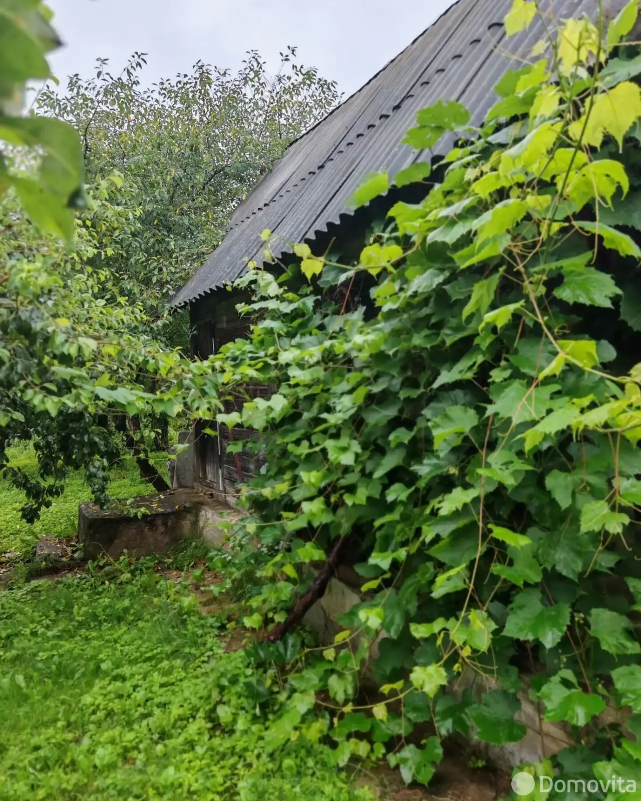 Купить 1-этажную дачу в КРИНИЦА-ГОРОШКИ Минская область, 45000USD, код 183696 - фото 13