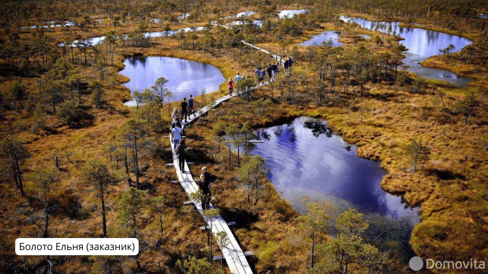 участок, Милашово, ул. Дорожная 