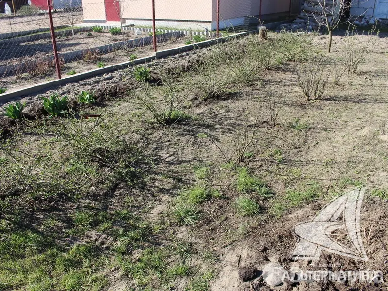 Купить 2-этажную дачу в Динамо Брестская область, 19900USD, код 162204 - фото 21