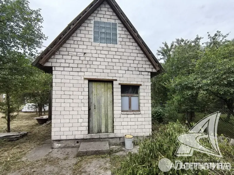 Купить 1-этажную дачу в Росинка при Брестском ДЭУ-138 Брестская область, 50000BYN, код 186135 - фото 17
