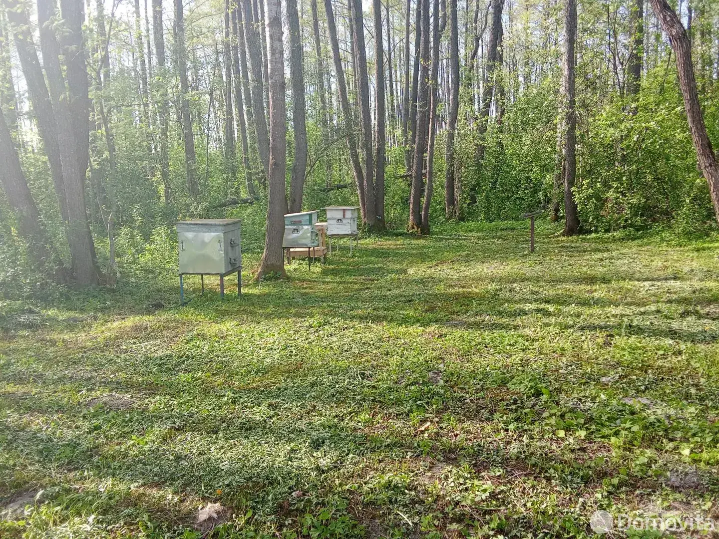продажа дома, Гарбузы, ул. Центральная