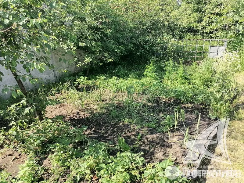 Цена продажи дома, Брест, 