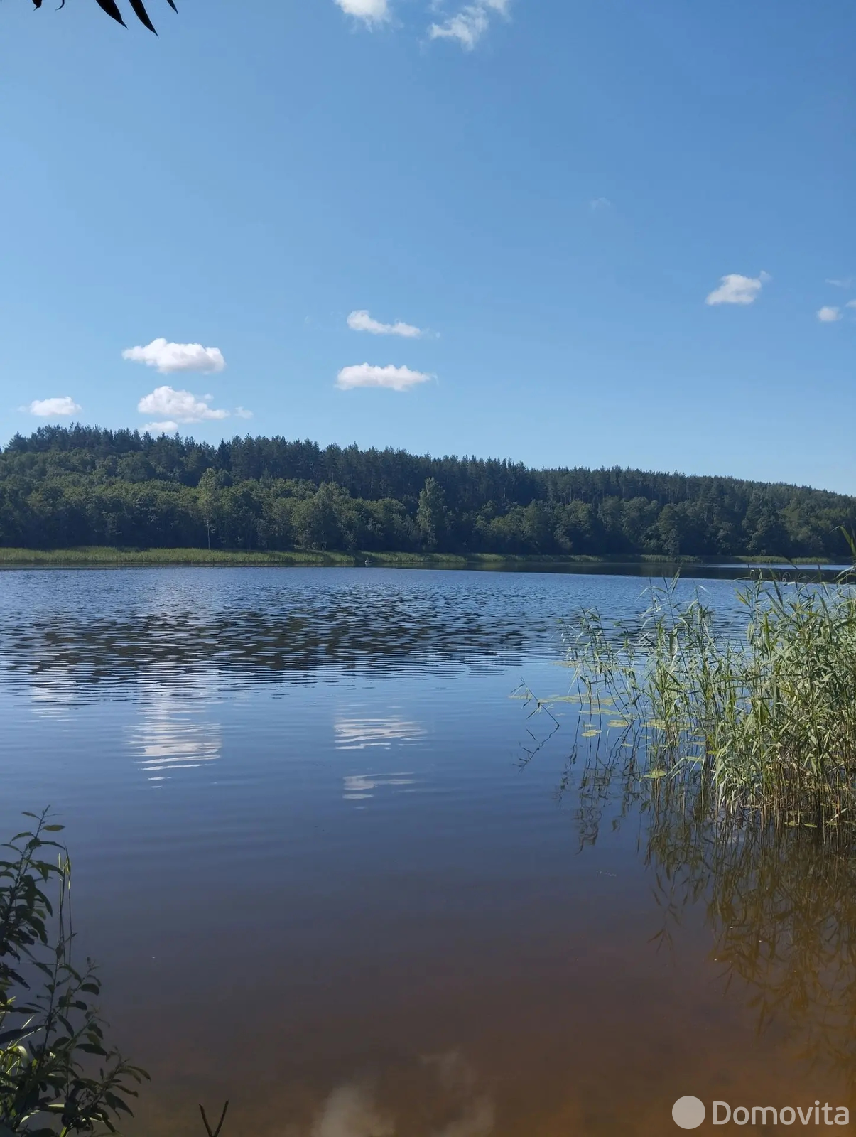 купить дачу, Городок, ул. Озёрная, д. 20
