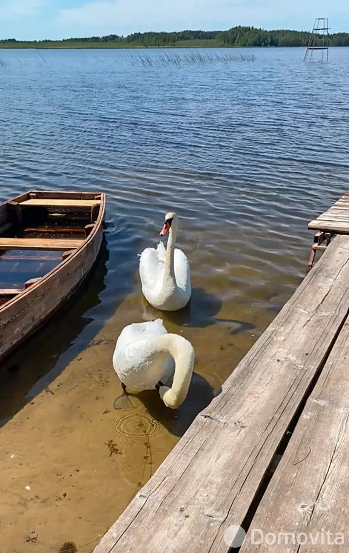 Аренда коттеджа Мишкин дом на сутки в Мурашках , 300BYN, код 1269 - фото 20