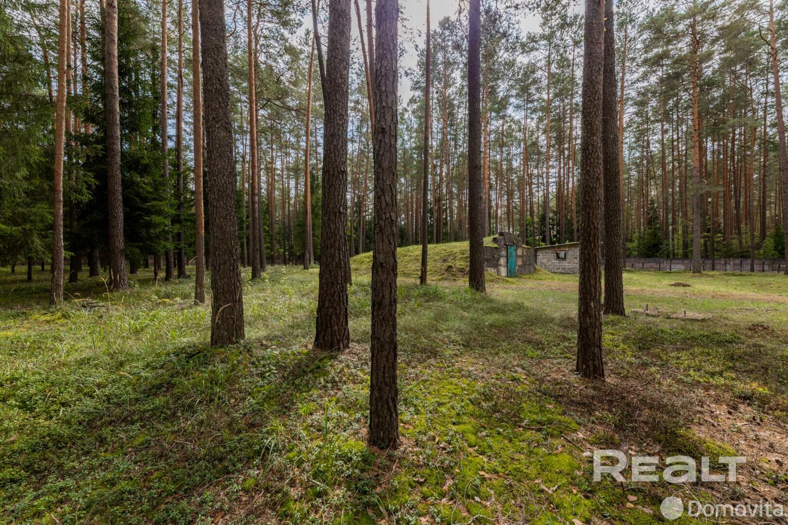 Купить помещение под сферу услуг в Ракове, ул. Боровая - фото 4