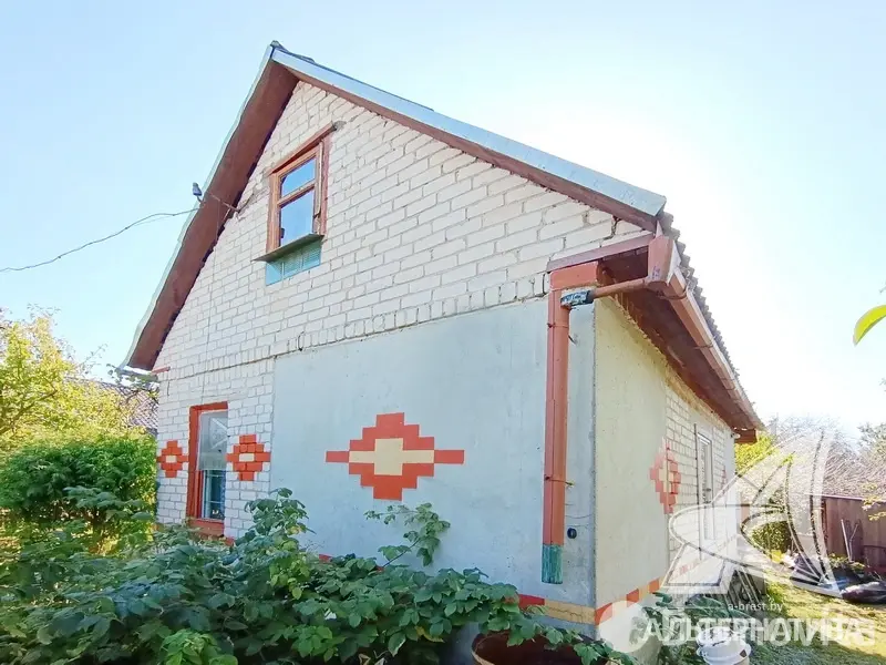 дача, Сигнал-2009, 