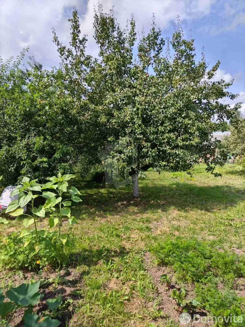 купить участок, Мара,