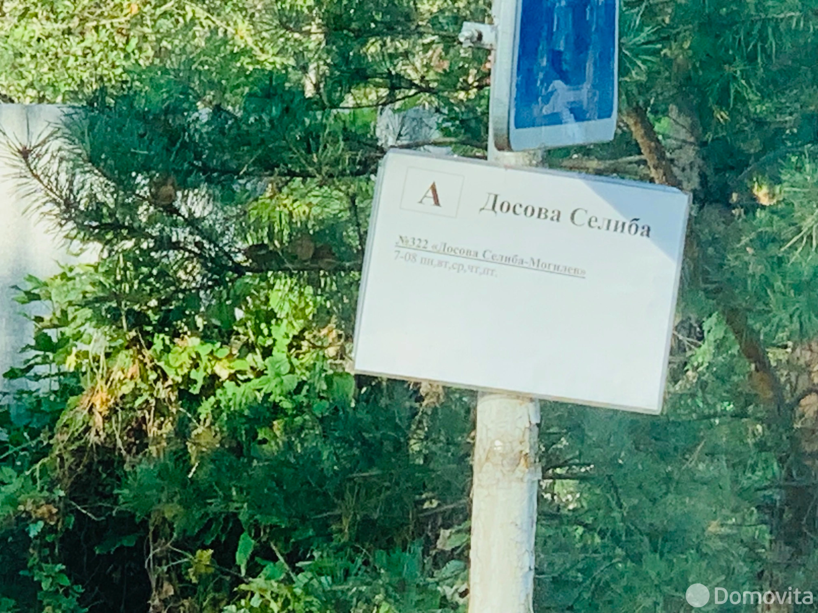 Купить 2-этажную дачу в Дашковский сельский Совет Могилевская область, 12000USD, код 184167 - фото 30