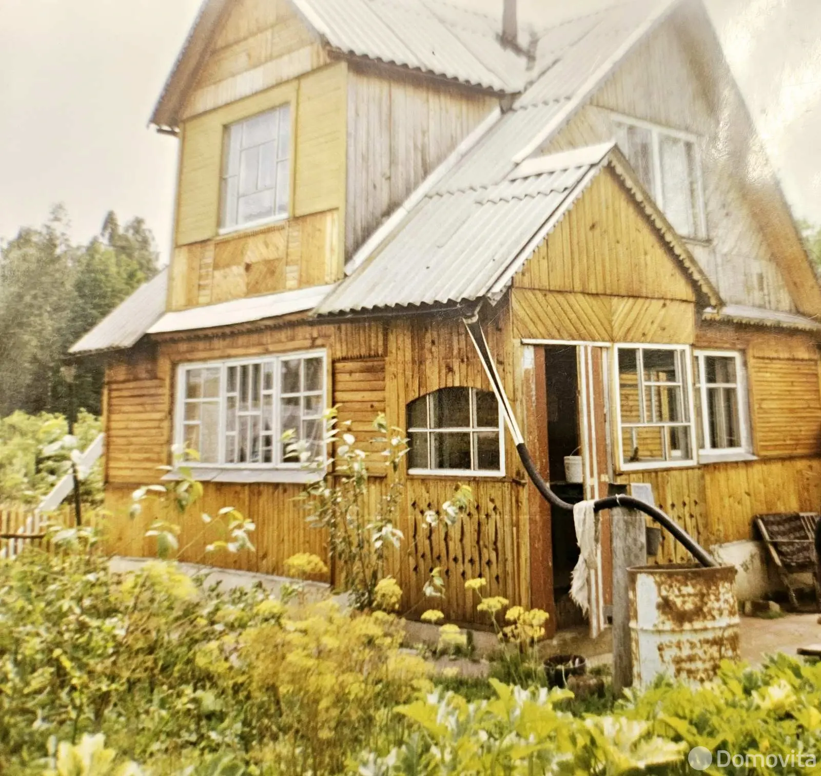 дача, Лесная полянка, 