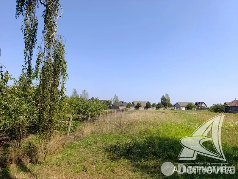 участок, Урожай ОАО Брестхлебопродукт, 