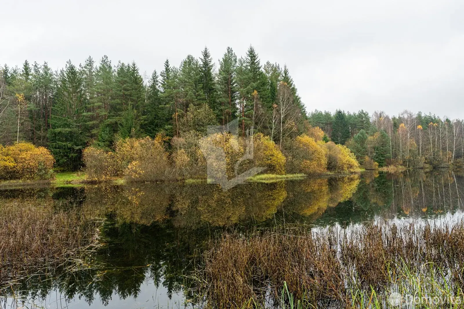 Купить 2-этажную дачу в Зеленый дол Минская область, 55000USD, код 184620 - фото 31