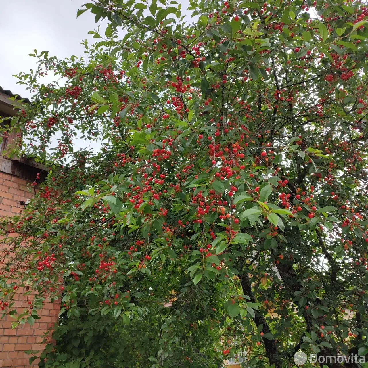 дача, Межколхозстрой, , стоимость продажи 47 779 р.