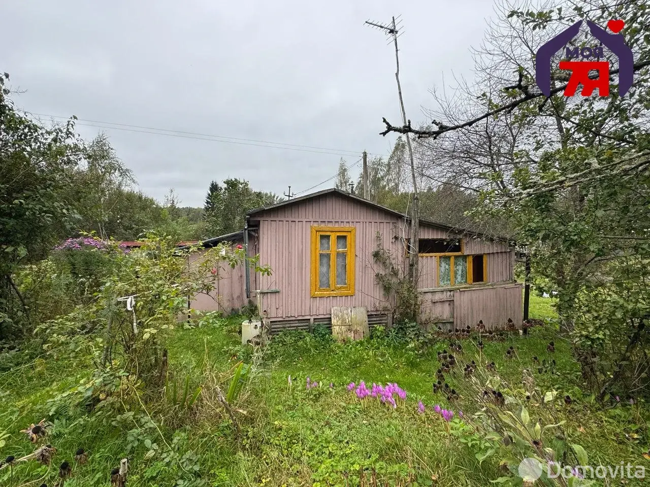 дача, Поляны, 