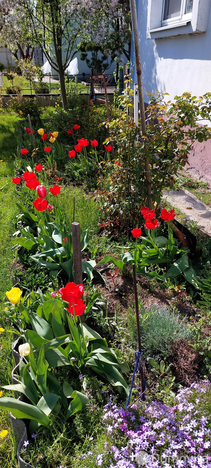 Купить 2-этажную дачу в Солигорске Минская область, 6900USD, код 182565 - фото 21