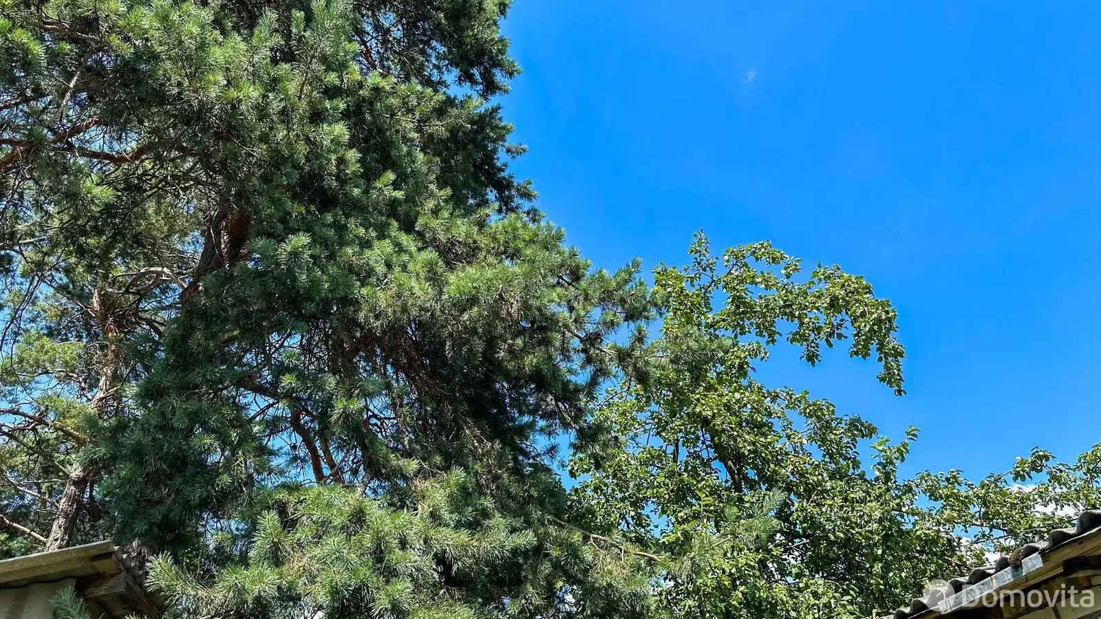 Купить земельный участок, 11.86 соток, Ждановичи, Минская область, 95000USD, код 570616 - фото 14