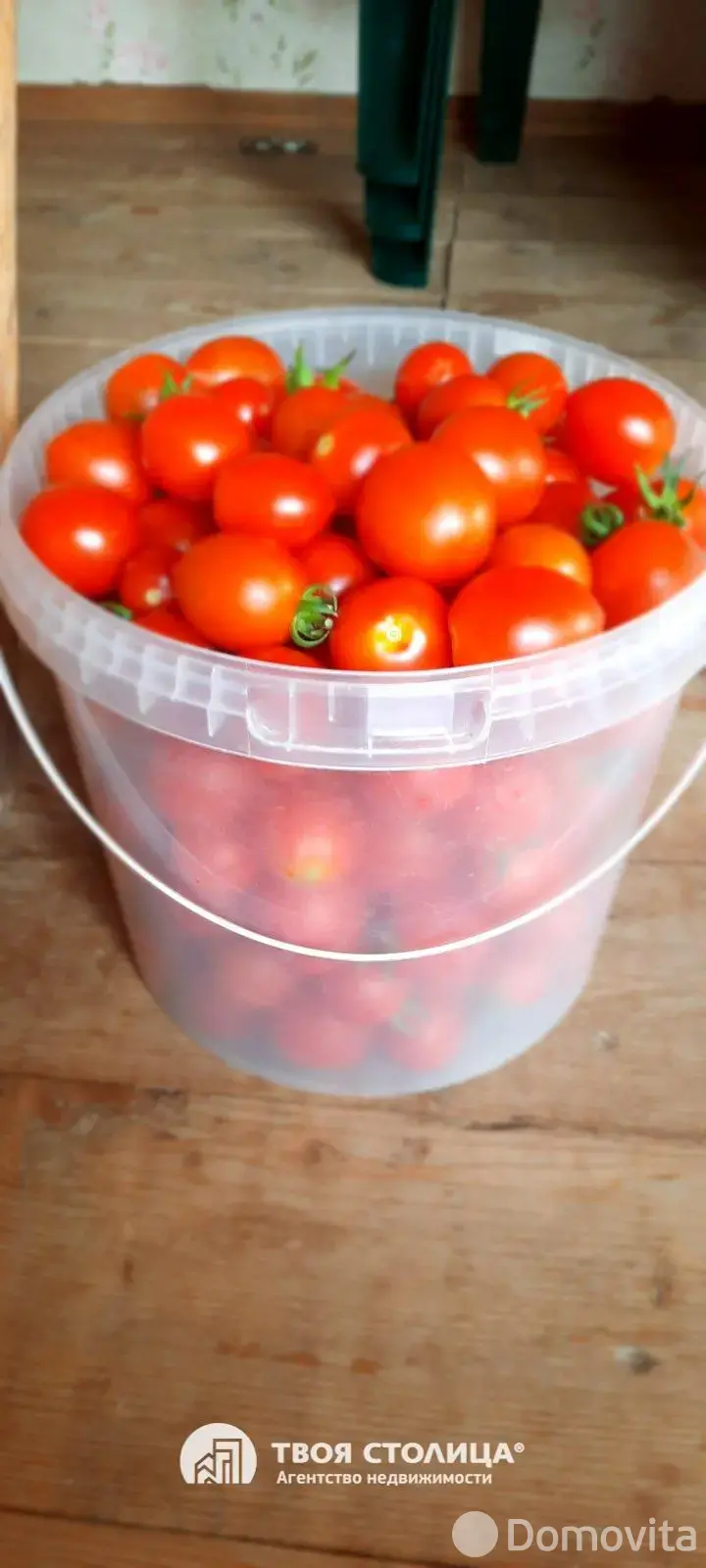 Продажа 1-этажной дачи в Золотой колосок Минская область, 15000USD, код 184931 - фото 20