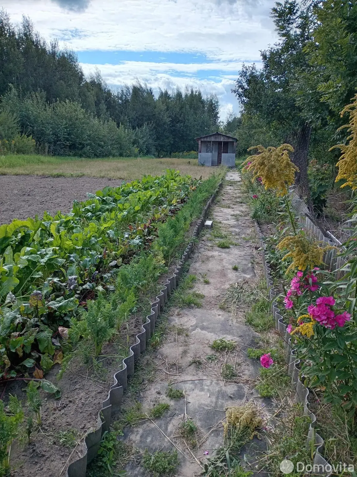 участок, Орша, ул. Липковская 