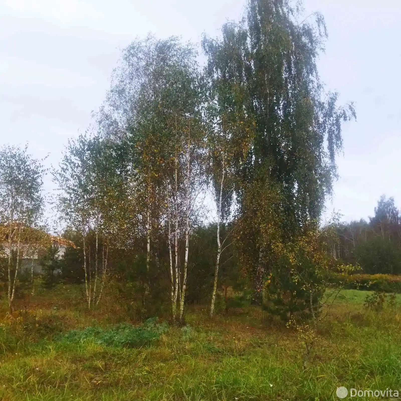 участок, Свислочь, - лучшее предложение