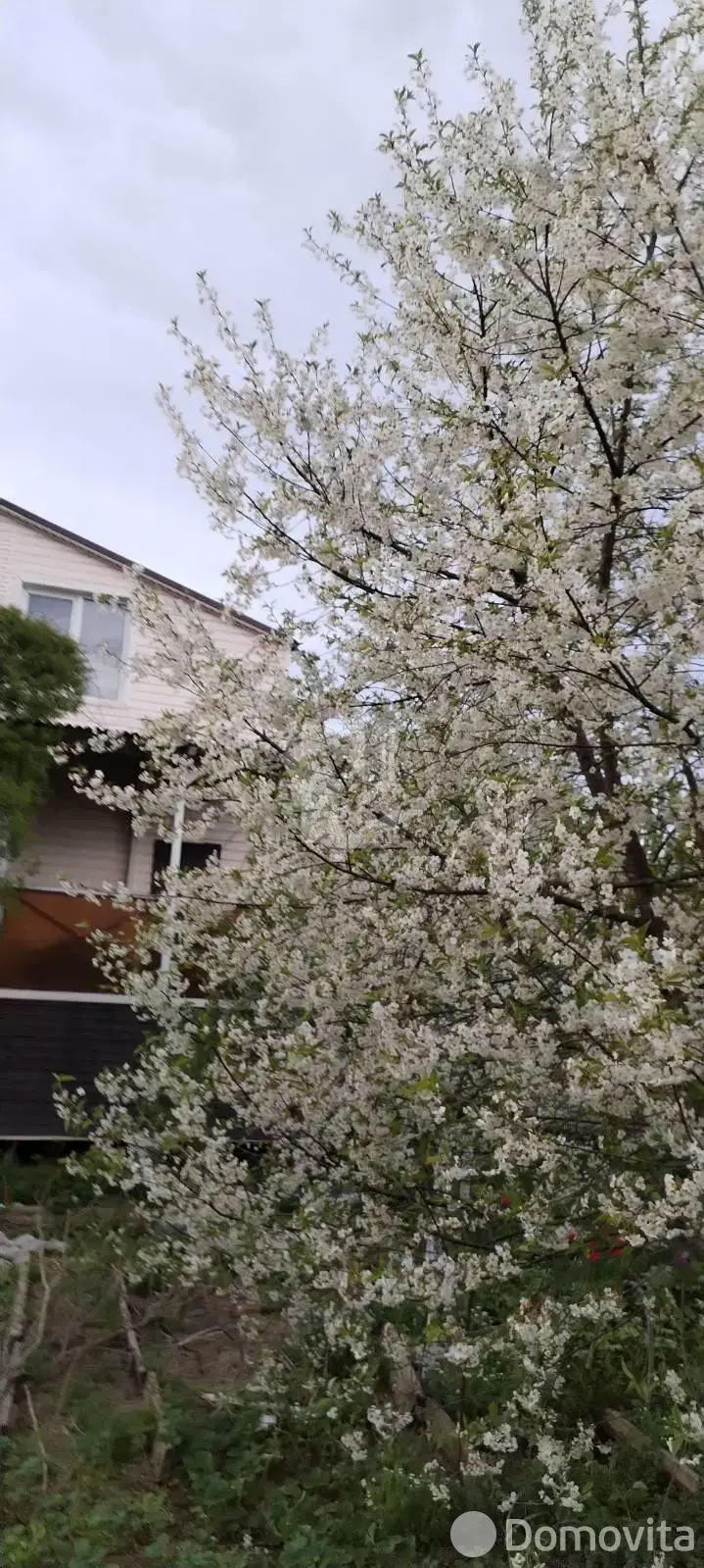 коттедж, Слобода, ул. Красногвардейская - лучшее предложение