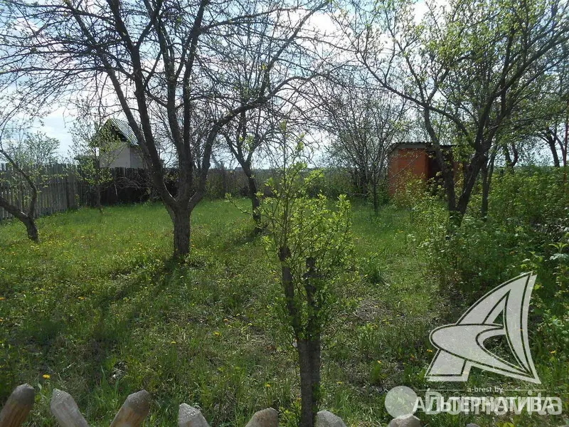 Купить 2-этажную дачу в Нива-89 Брестская область, 25000USD, код 181484 - фото 19