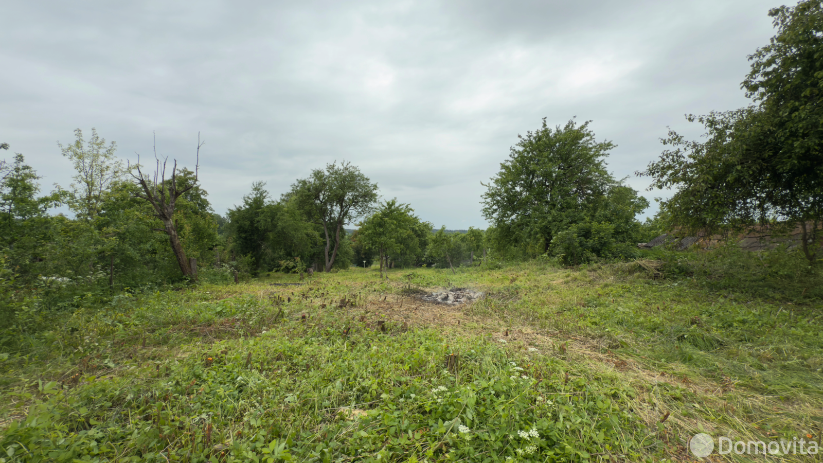 участок, Кривое Село, ул. Центральная