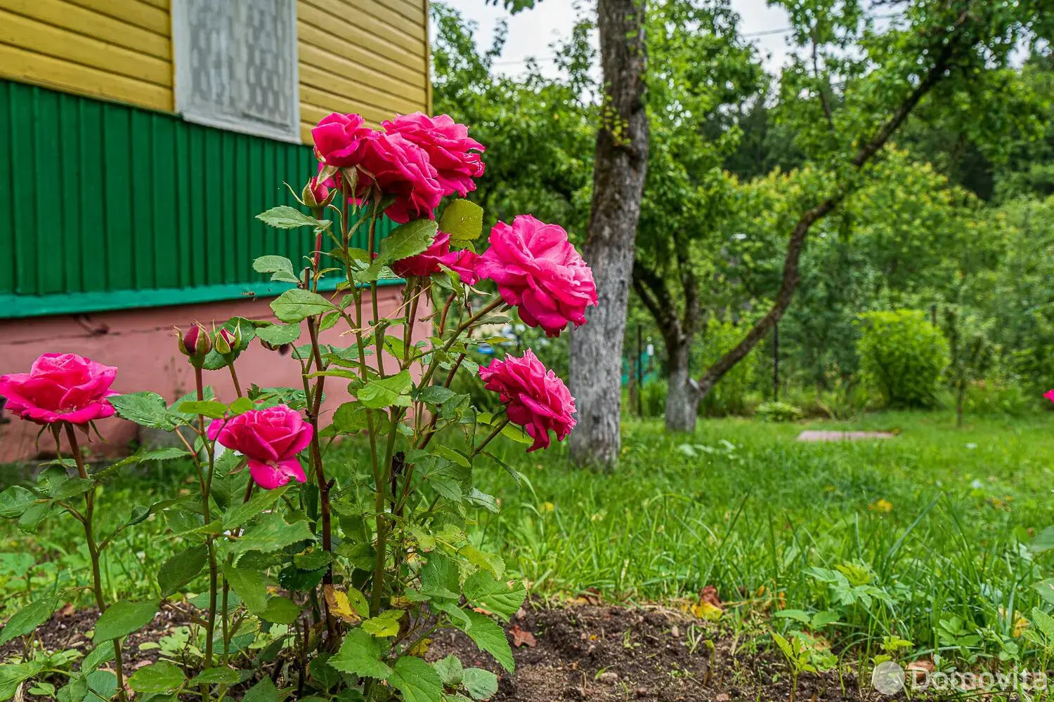 Купить 1-этажную дачу в Подгорье Могилевская область, 15000USD, код 183476 - фото 31