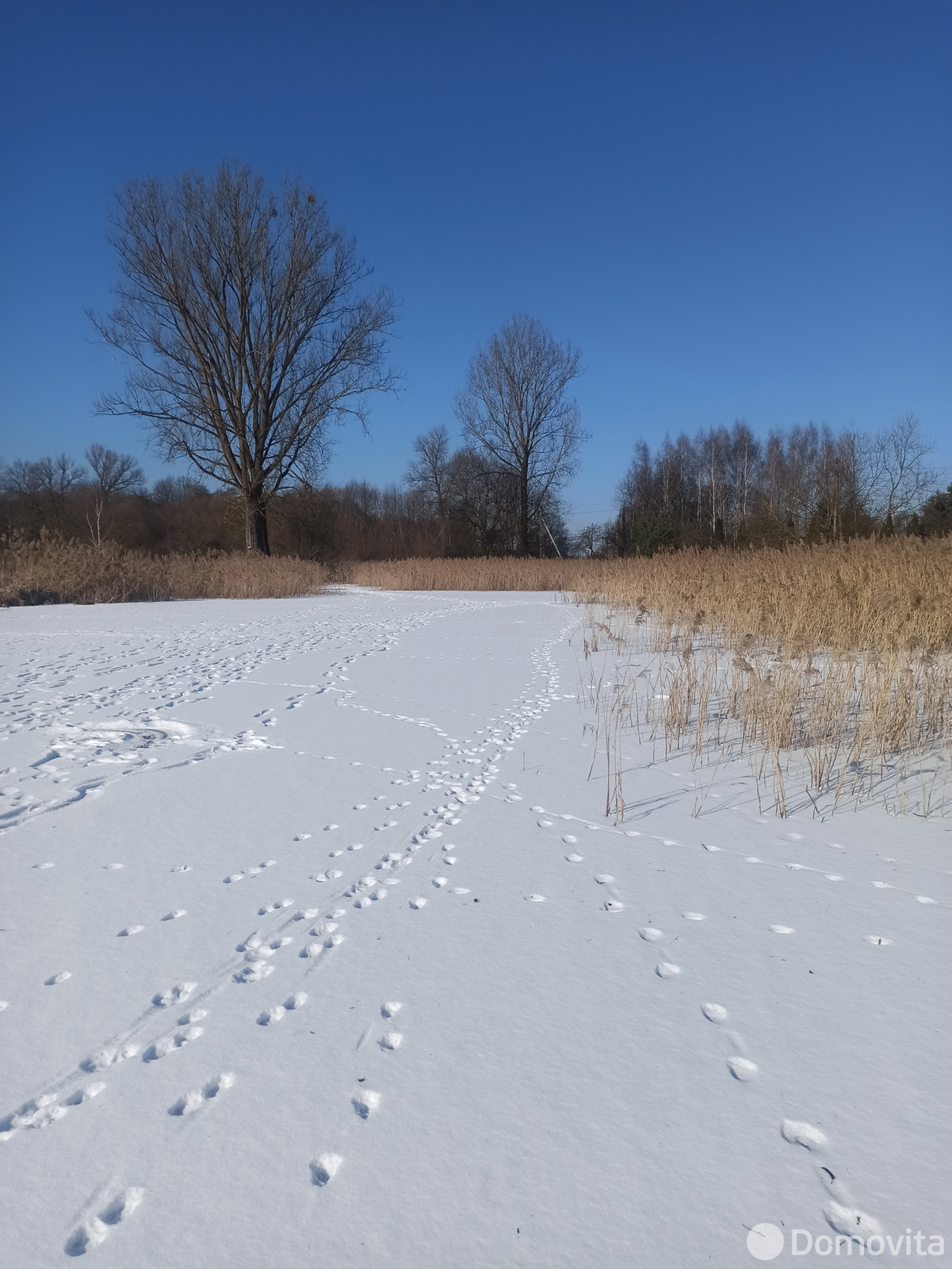 Купить 1-этажную дачу в Красной Звезде Минская область, 14000BYN, код 182378 - фото 14