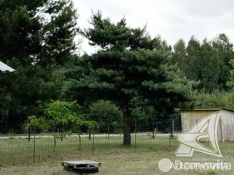 продажа участка, Квант Брестского района, 