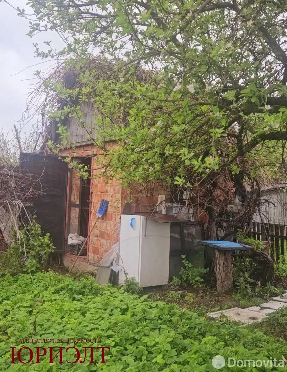Купить 1-этажную дачу в Витебске Витебская область, 6000USD, код 185829 - фото 12