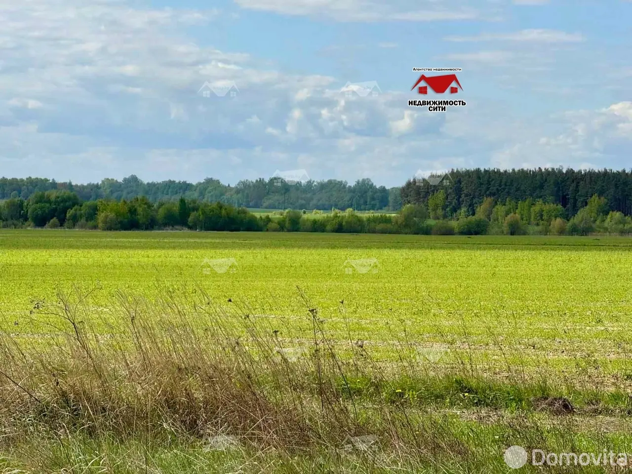 Купить земельный участок, 23.4 соток, Вейно, Могилевская область, 7900USD, код 569204 - фото 1
