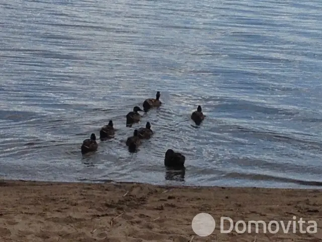 Купить земельный участок, 25 соток, Заборье, Витебская область, 25000BYN, код 571620 - фото 16