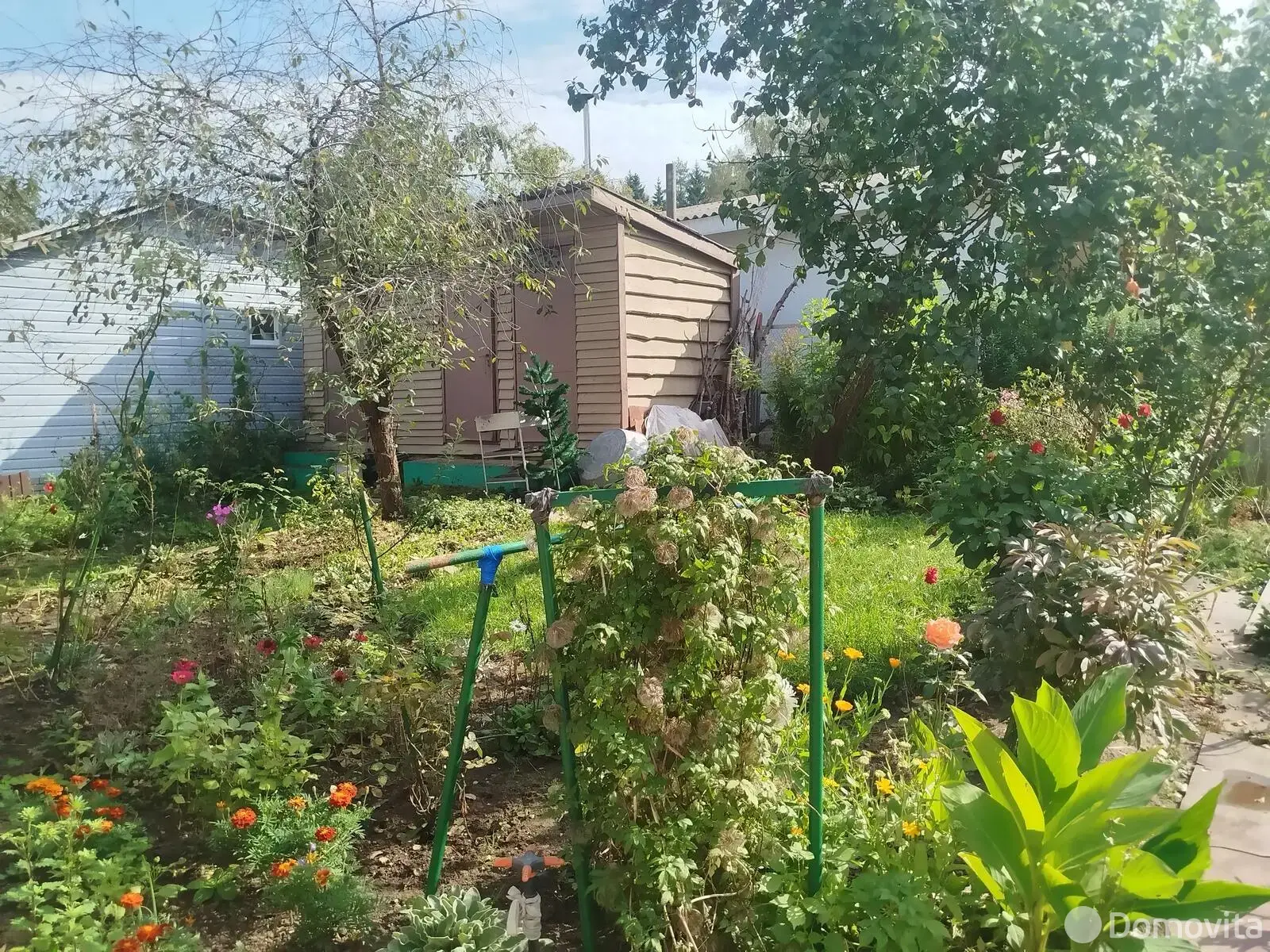 дача, Сосны-Сад,