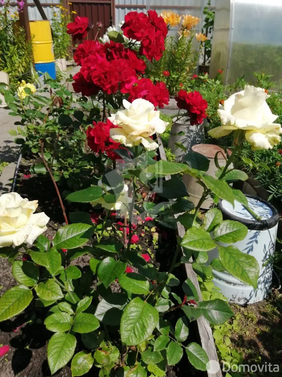 Купить 2-этажную дачу в Шарик Минская область, 17500USD, код 184475 - фото 19