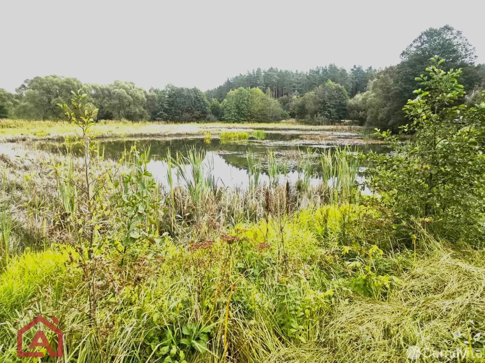 Купить земельный участок, 16.66 соток, Приселки, Минская область, 14000USD, код 571051 - фото 18