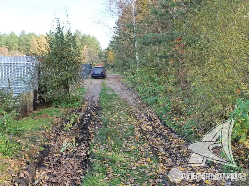 Продажа 2-этажной дачи в Вымпел Брестская область, 15800USD, код 171641 - фото 25