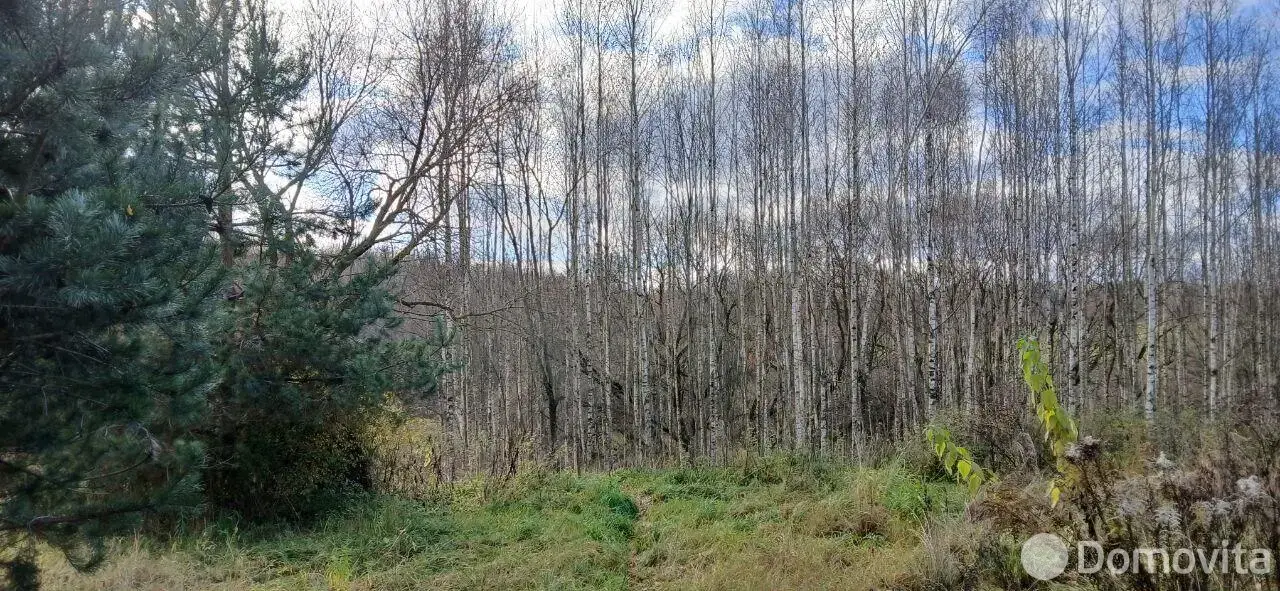 купить участок, Голышово, ул. Луговая, д. 5