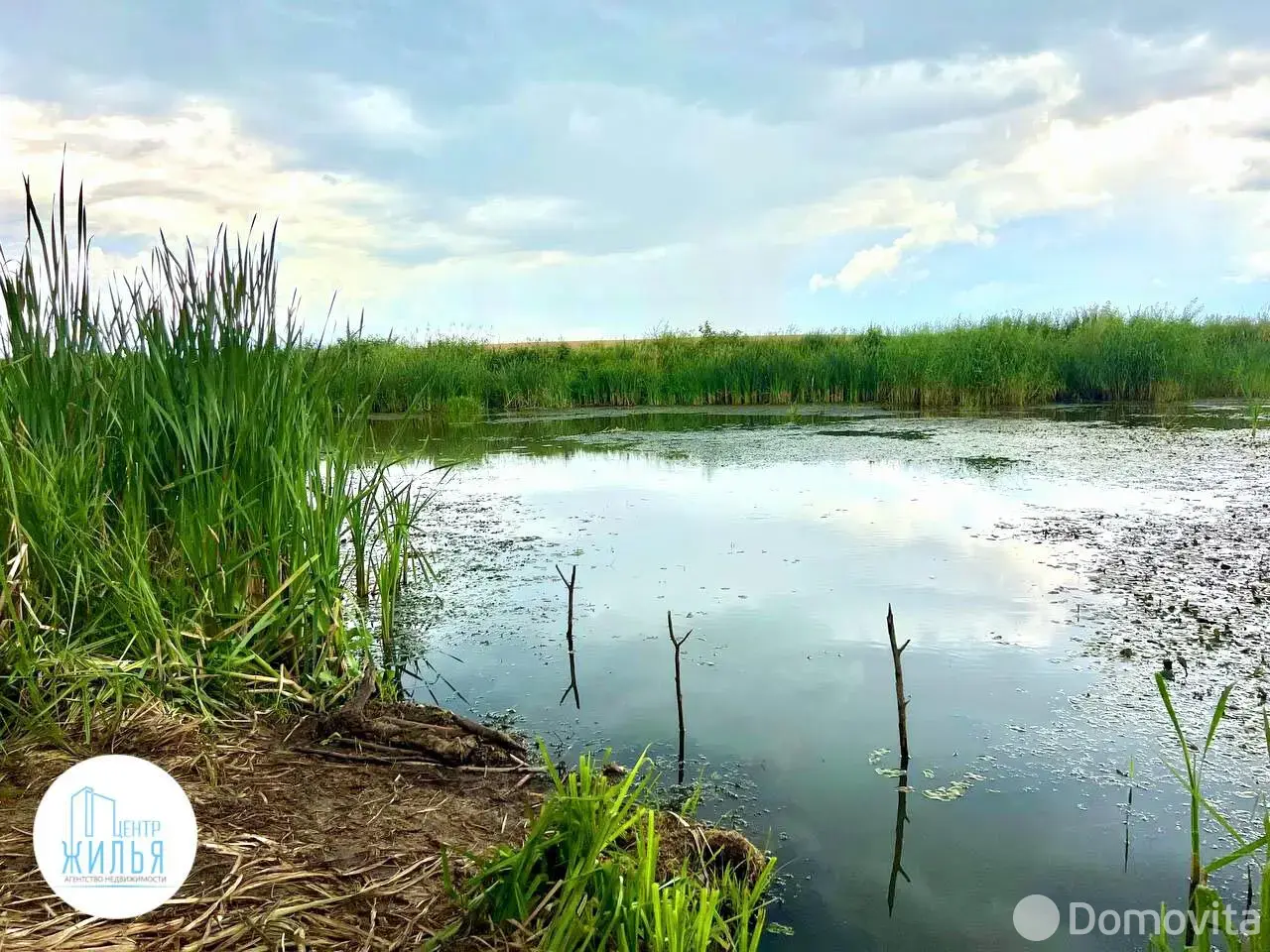 дача, Земляне-М.Демидково, д. 101