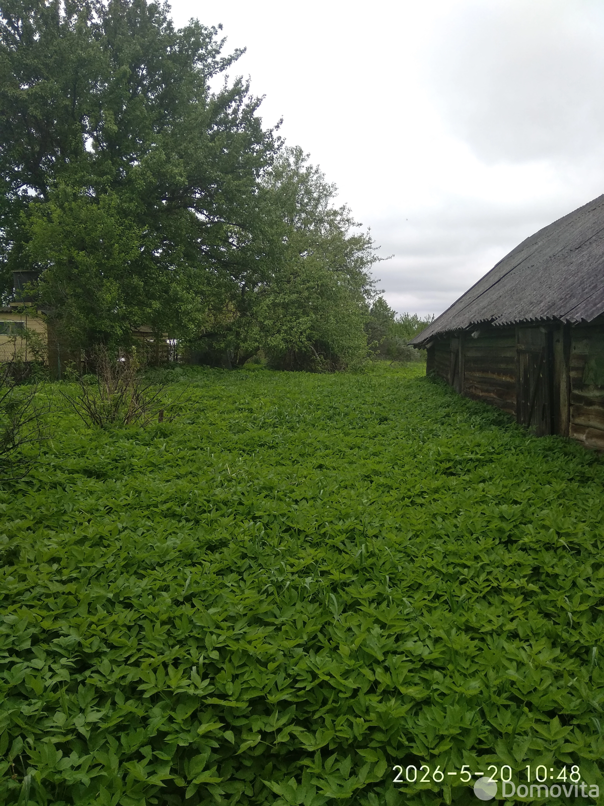 Стоимость продажи участка, Шелевщина,