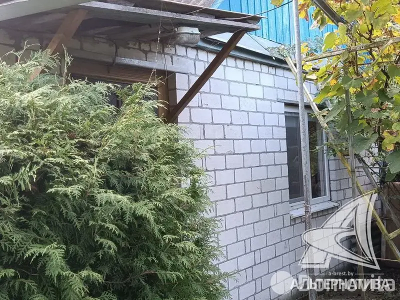 Купить 1-этажную дачу в Тепличка Брестская область, 10500USD, код 184261 - фото 2