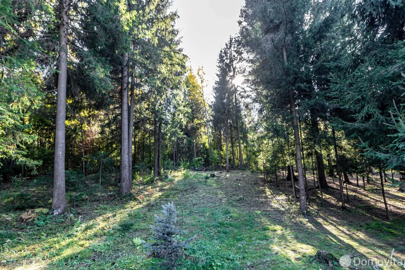 Купить 2-этажную дачу в Чернявка Минская область, 24990USD, код 177631 - фото 17