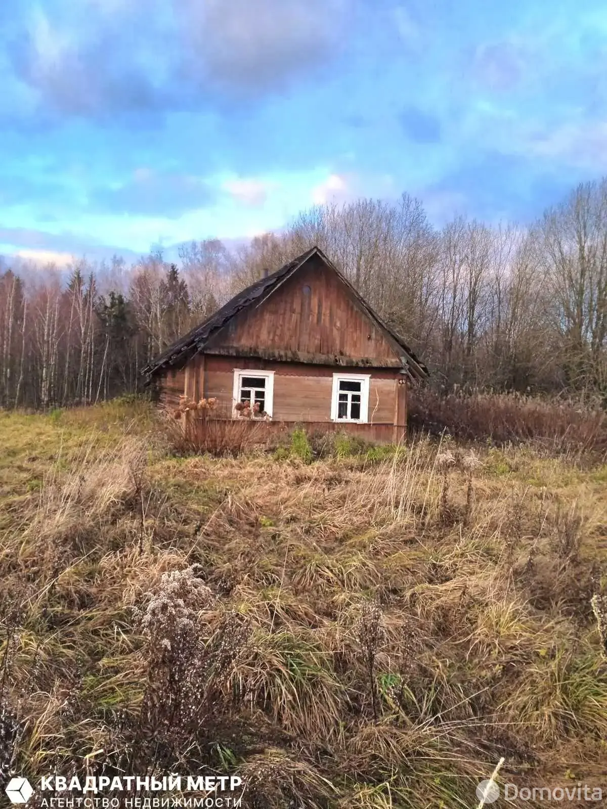 коттедж, Козлы,